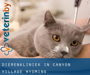 Dierenkliniek in Canyon Village (Wyoming)