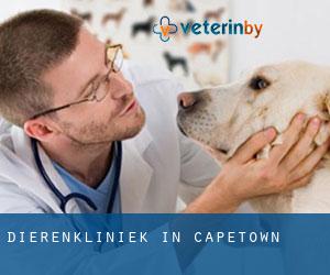 Dierenkliniek in Capetown