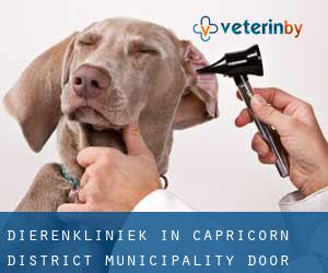 Dierenkliniek in Capricorn District Municipality door stad - pagina 1