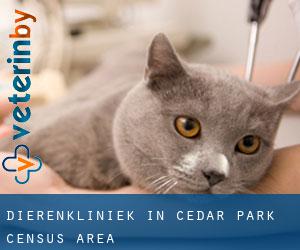 Dierenkliniek in Cedar Park (census area)
