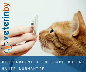 Dierenkliniek in Champ-Dolent (Haute-Normandie)
