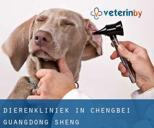Dierenkliniek in Chengbei (Guangdong Sheng)
