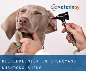 Dierenkliniek in Chengyang (Shandong Sheng)