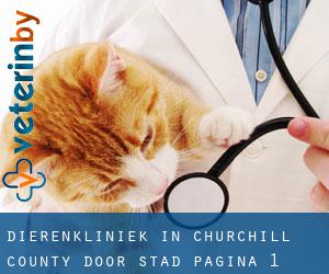 Dierenkliniek in Churchill County door stad - pagina 1