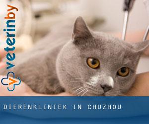 Dierenkliniek in Chuzhou Dierenkliniek in Chuzhou