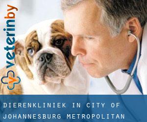 Dierenkliniek in City of Johannesburg Metropolitan Municipality door plaats - pagina 1