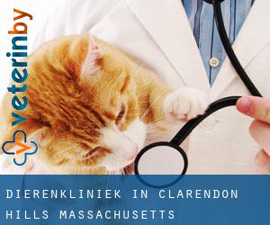 Dierenkliniek in Clarendon Hills (Massachusetts)