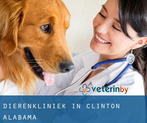 Dierenkliniek in Clinton (Alabama)