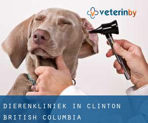 Dierenkliniek in Clinton (British Columbia)