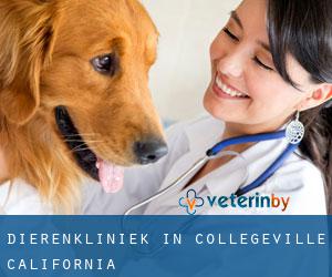 Dierenkliniek in Collegeville (California)
