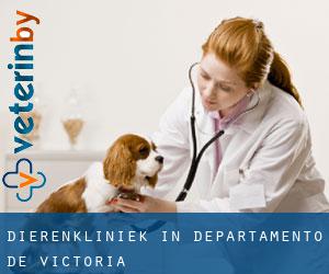 Dierenkliniek in Departamento de Victoria