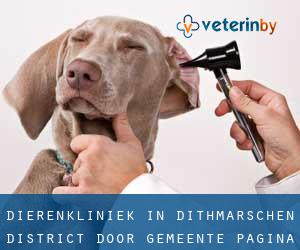 Dierenkliniek in Dithmarschen District door gemeente - pagina 1