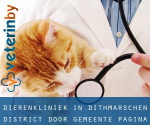 Dierenkliniek in Dithmarschen District door gemeente - pagina 2