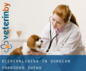 Dierenkliniek in Dongcun (Shandong Sheng)