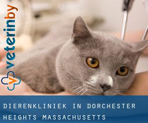 Dierenkliniek in Dorchester Heights (Massachusetts)