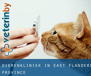 Dierenkliniek in East Flanders Province