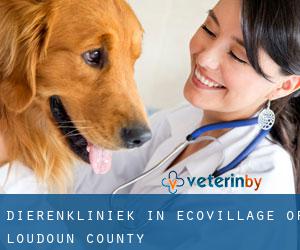 Dierenkliniek in EcoVillage of Loudoun County