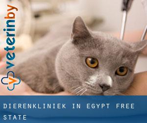 Dierenkliniek in Egypt (Free State)