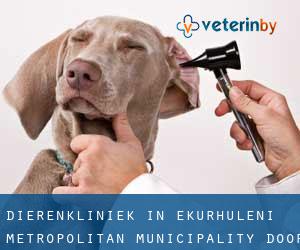 Dierenkliniek in Ekurhuleni Metropolitan Municipality door stad - pagina 1