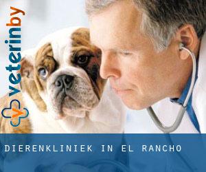 Dierenkliniek in El Rancho