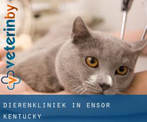 Dierenkliniek in Ensor (Kentucky)
