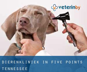 Dierenkliniek in Five Points (Tennessee)