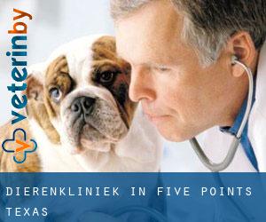 Dierenkliniek in Five Points (Texas)