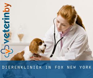 Dierenkliniek in Fox (New York)