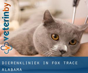 Dierenkliniek in Fox Trace (Alabama)