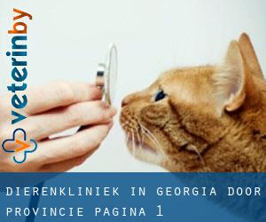 Dierenkliniek in Georgia door Provincie - pagina 1