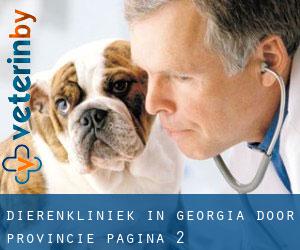 Dierenkliniek in Georgia door Provincie - pagina 2