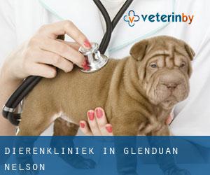 Dierenkliniek in Glenduan (Nelson)