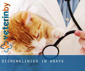 Dierenkliniek in Grays