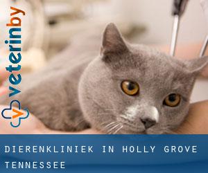 Dierenkliniek in Holly Grove (Tennessee)