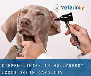 Dierenkliniek in Hollyberry Woods (South Carolina)