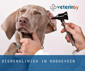 Dierenkliniek in Hoogeveen