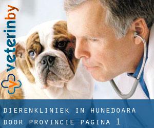 Dierenkliniek in Hunedoara door Provincie - pagina 1