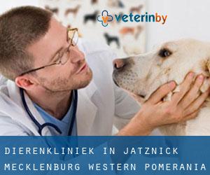Dierenkliniek in Jatznick (Mecklenburg-Western Pomerania)