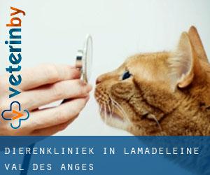 Dierenkliniek in Lamadeleine-Val-des-Anges