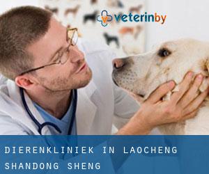 Dierenkliniek in Laocheng (Shandong Sheng)