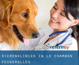 Dierenkliniek in Le Chambon-Feugerolles