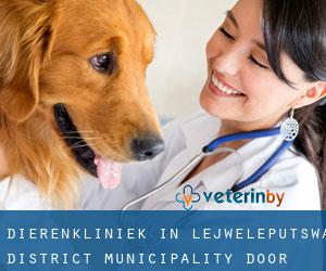 Dierenkliniek in Lejweleputswa District Municipality door hoofd stad - pagina 2
