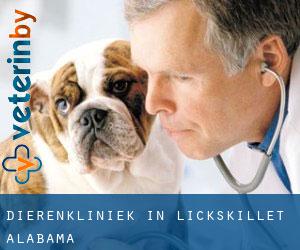 Dierenkliniek in Lickskillet (Alabama)