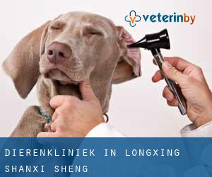 Dierenkliniek in Longxing (Shanxi Sheng)