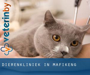 Dierenkliniek in Mafikeng