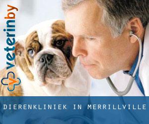 Dierenkliniek in Merrillville