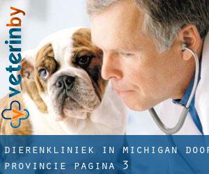 Dierenkliniek in Michigan door Provincie - pagina 3