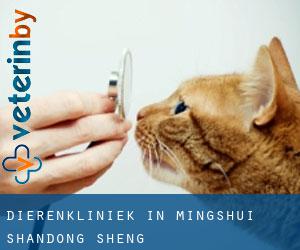 Dierenkliniek in Mingshui (Shandong Sheng)