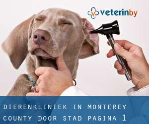 Dierenkliniek in Monterey County door stad - pagina 1
