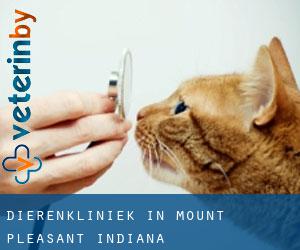Dierenkliniek in Mount Pleasant (Indiana)